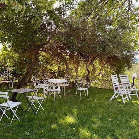 Green Leaves Verona Bagian luar foto